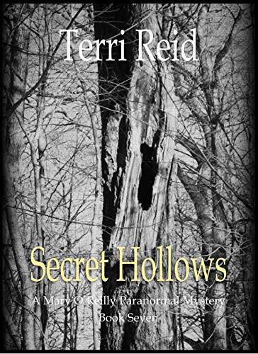 Secret Hollows (Mary O'Reilly Series Book 7)