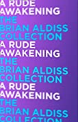 A Rude Awakening (Horatio Stubbs, Book 3)