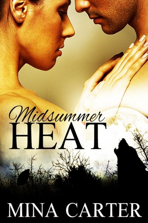 Midsummer Heat (Stratton Wolves #1)