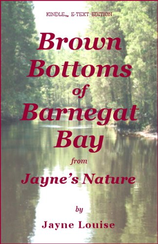 Brown Bottoms of Barnegat Bay (Jayne's Nature (e-text editions))