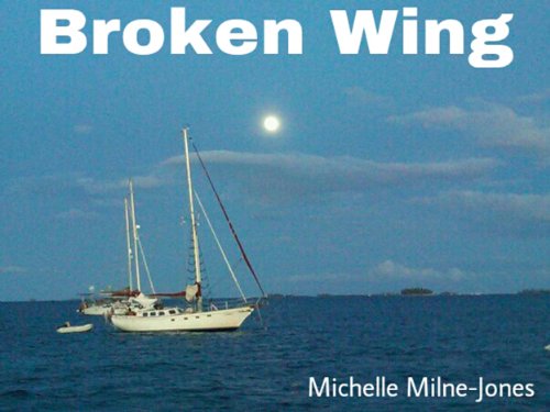 Broken Wing (Wake Me Up Book 1)