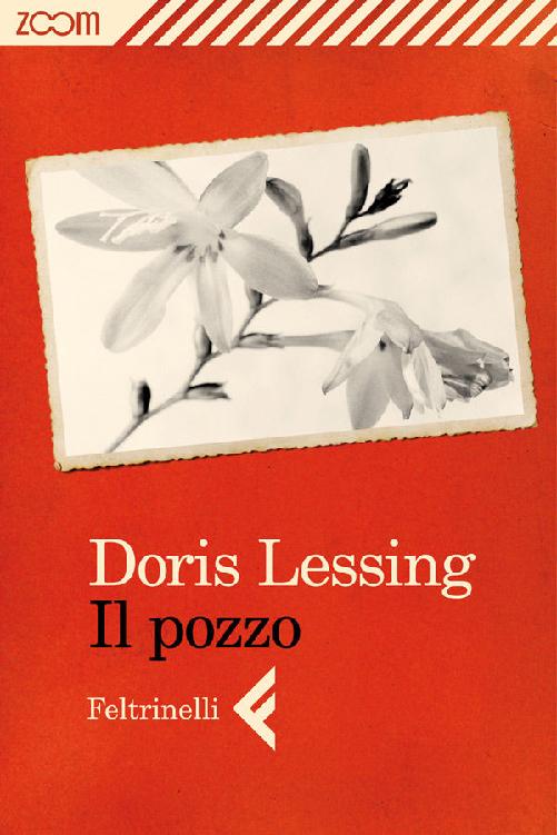 Il pozzo (Italian Edition)