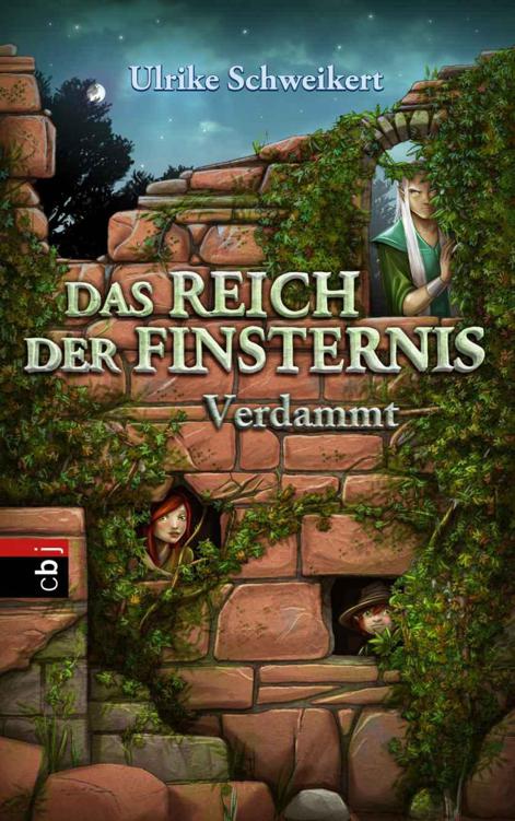 Das Reich der Finsternis 02 - Verdammt