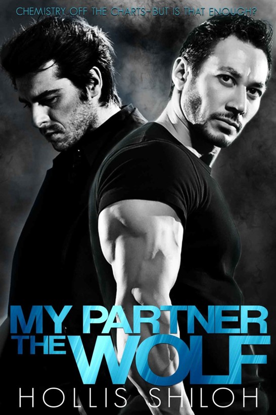 My Partner the Wolf (Shifters and Partners Book 1)