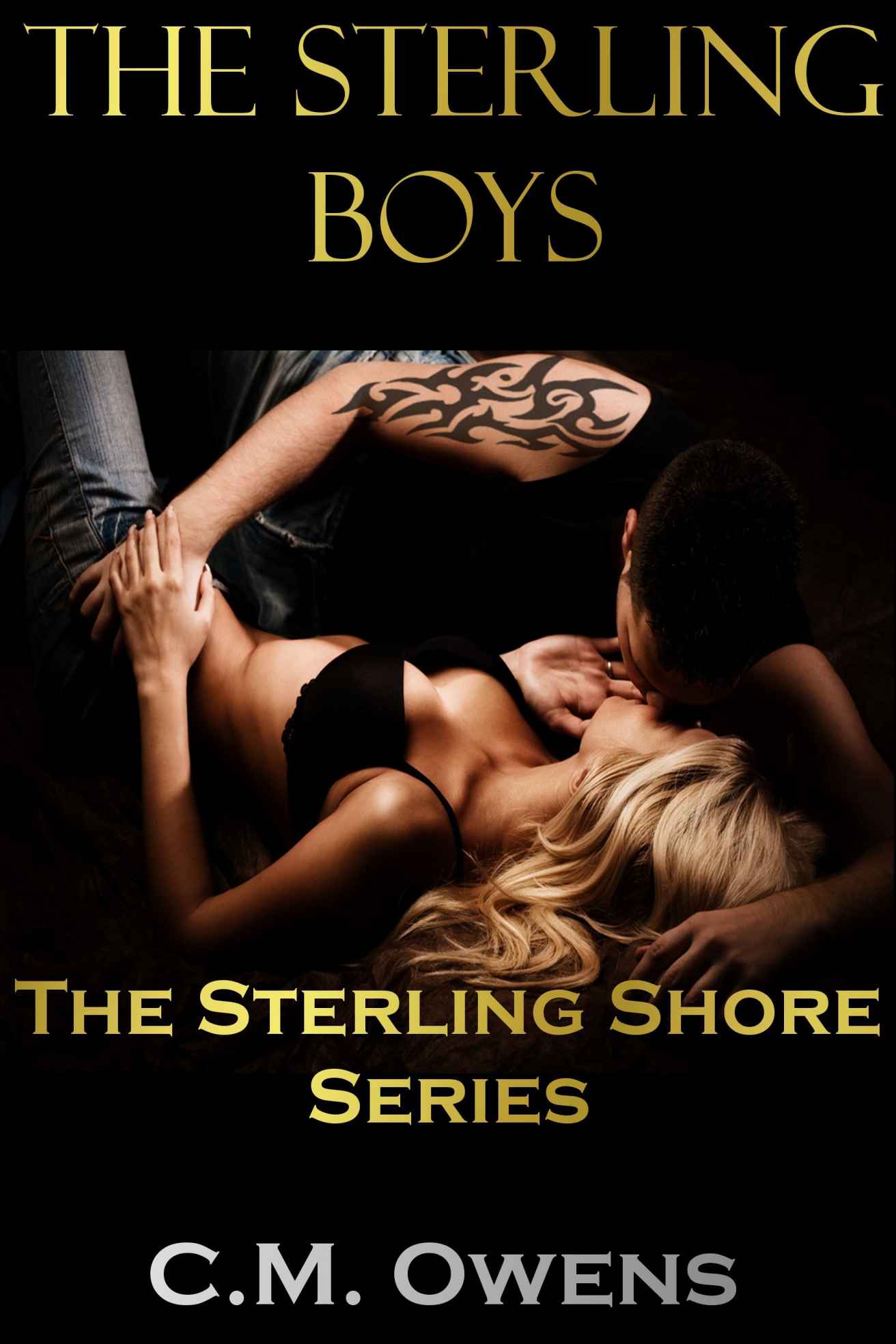 The Sterling Boys (The Sterling Shore Series #3)