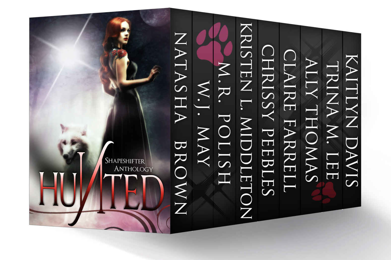 Hunted: A New Adult Shapeshifter Anthology