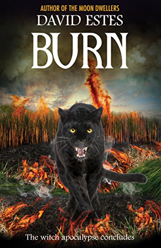 Burn: A Post-Apocalyptic Witch Thriller (Salem's Revenge Book 3)