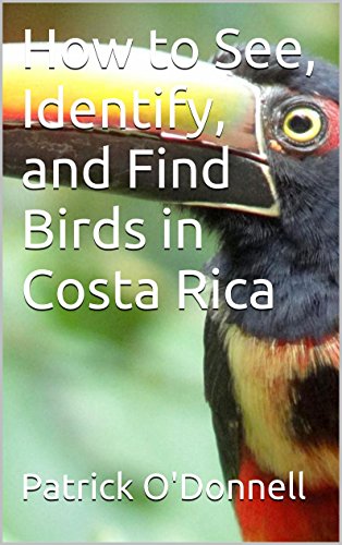 How to See, Identify, and Find Birds in Costa Rica