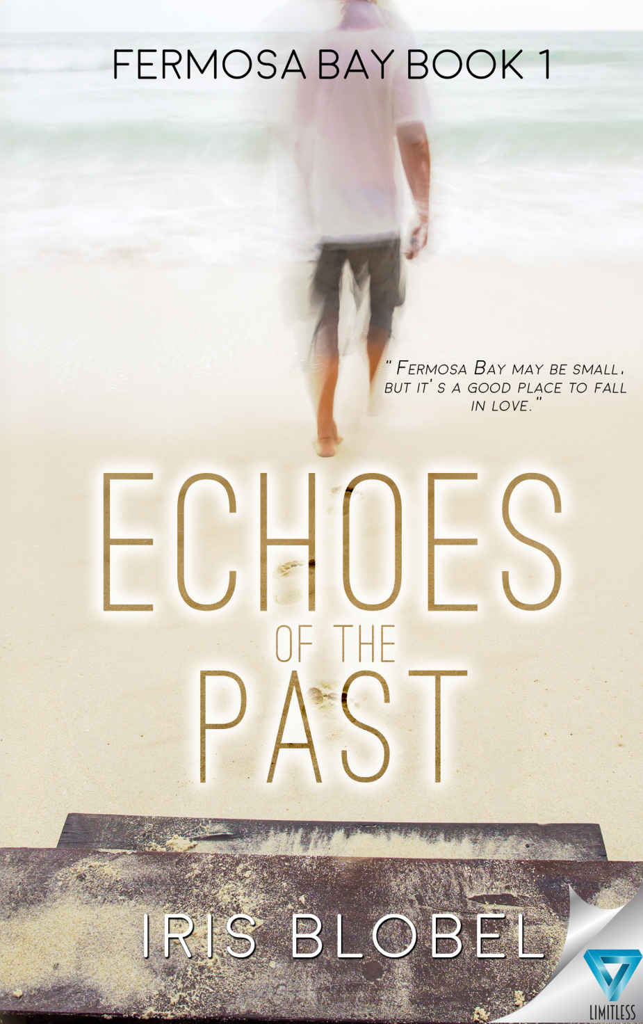 Echoes Of The Past (Fermosa Bay Series Book 1)