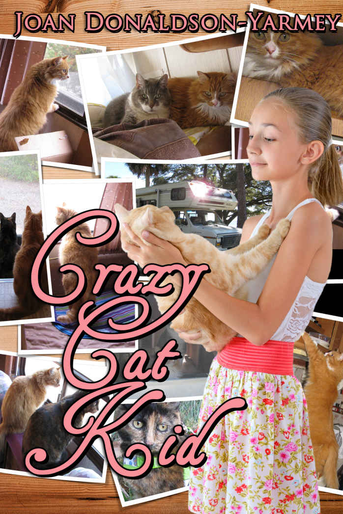 Crazy Cat Kid (Crazy Cat Kids Book 1)