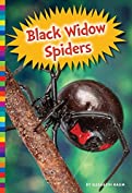 Black Widow Spiders (Poisonous Animals)