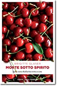 Morte sotto spirito: La cuoca Katharina torna a casa (Italian Edition)