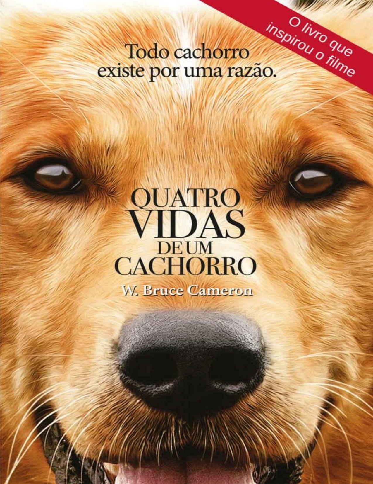 Quatro vidas de um cachorro