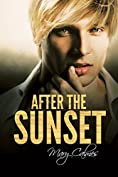 After the Sunset (Timing Book 2)