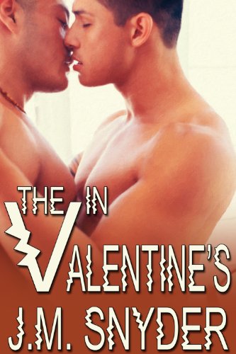 V: The V in Valentine's (Vic and Matt: V Book 6)