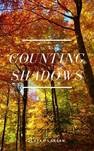 Counting Shadows