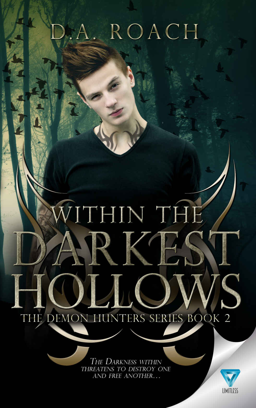 Within The Darkest Hollows