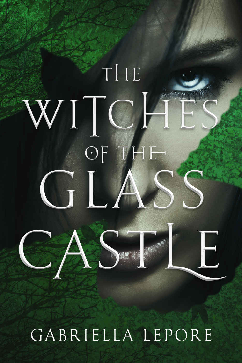 The Witches of the Glass Castle