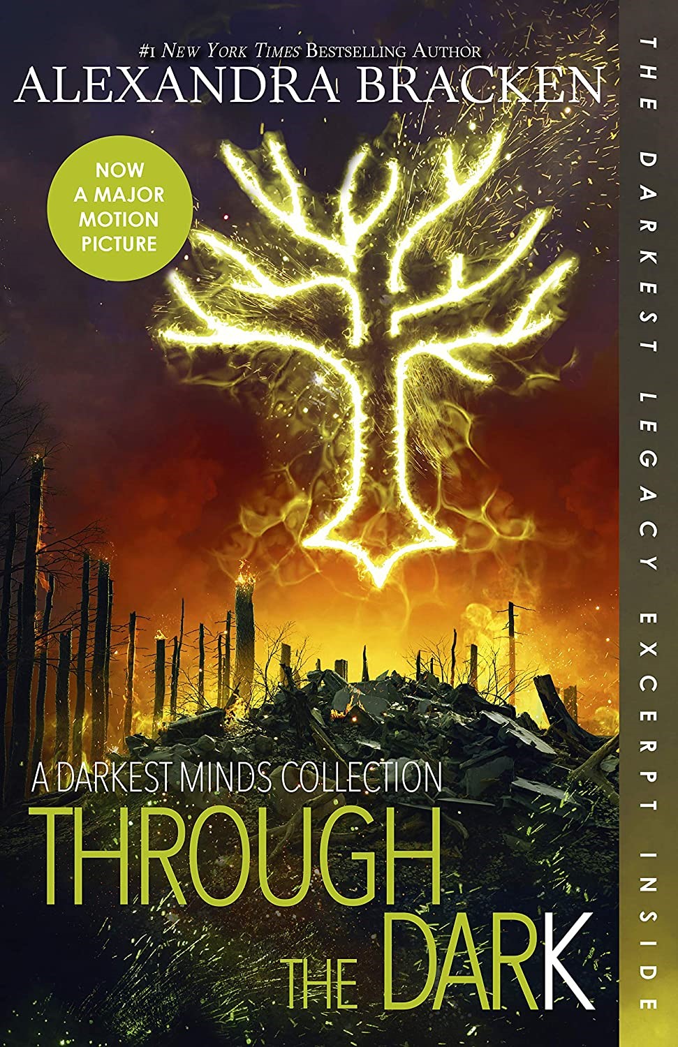 Through the Dark (Bonus Content) (Darkest Minds Novel, A)