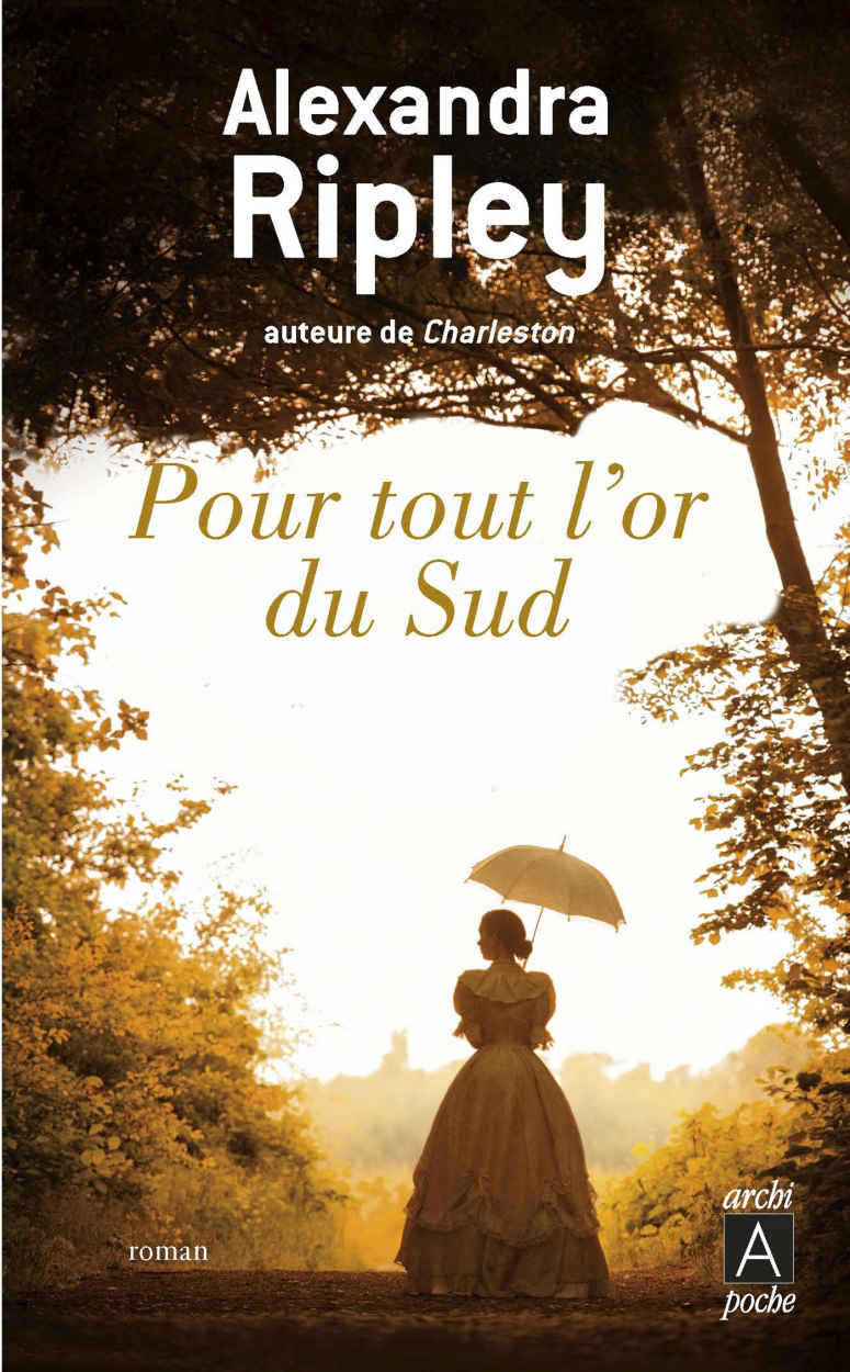 Pour tout l'or du Sud (French Edition)