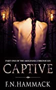 Captive: (The Akeldama Chronicles)