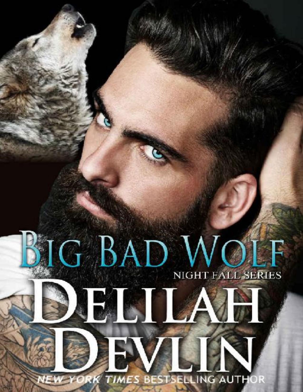 Big Bad Wolf (Night Fall Book 13)