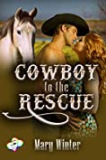 Cowboy To The Rescue (2 Hearts Rescue South Book 4)