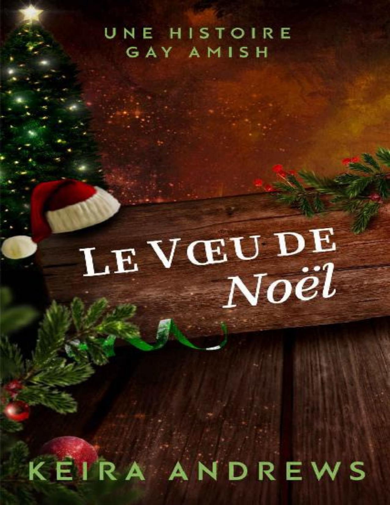 4 Gay Amish Romance - Le Voeu de Noël