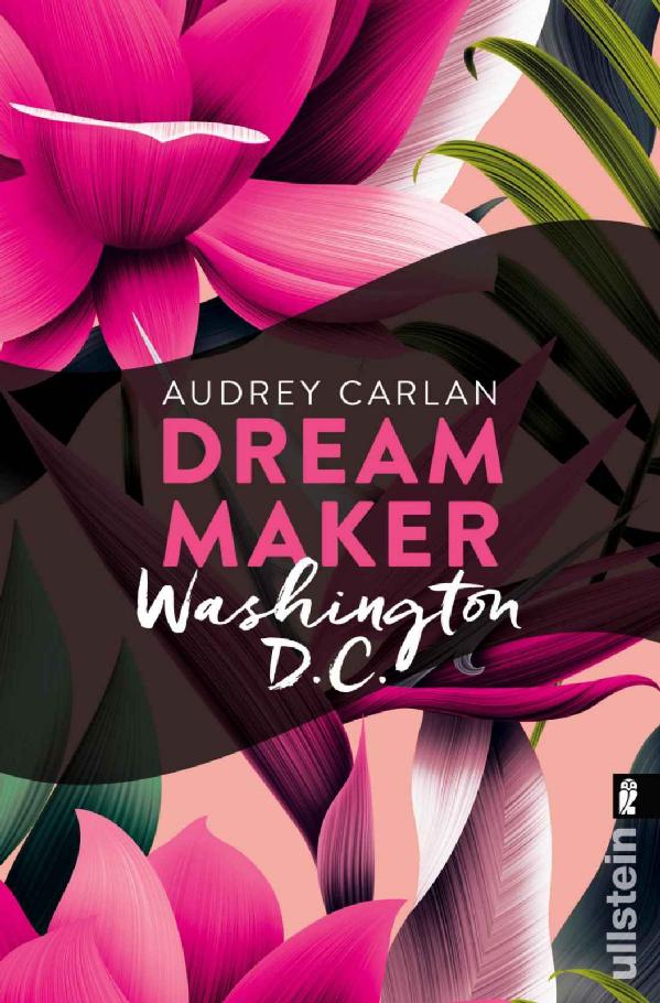 Dream Maker - Washington D.C. (Dream Maker City 8) (German Edition)