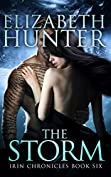 The Storm: Irin Chronicles Book Six