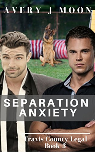 Separation Anxiety (Travis County Legal Book 3)