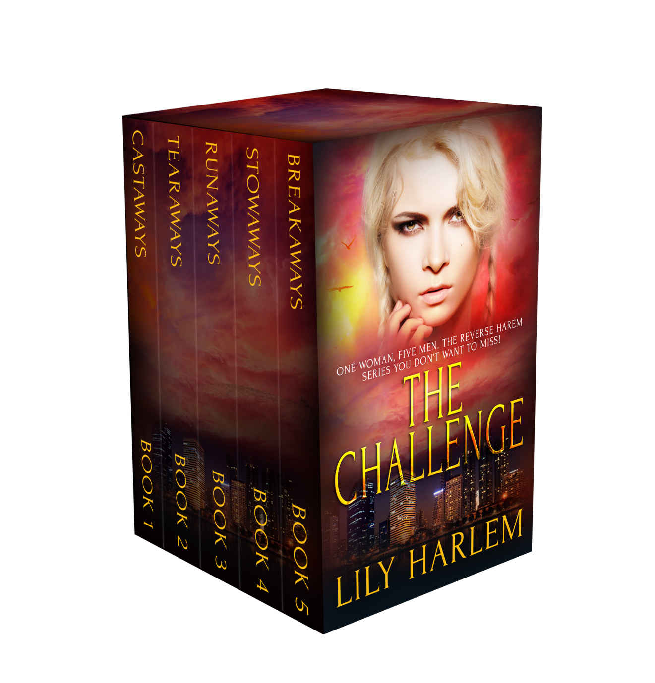 The Challenge Series Box Set : Reverse Harem Romance