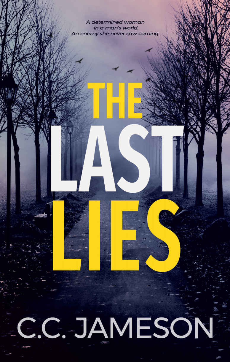 The Last Lies: Kate's Story: A Police Procedural with a Dark Secret (Detective Kate Murphy Mystery)
