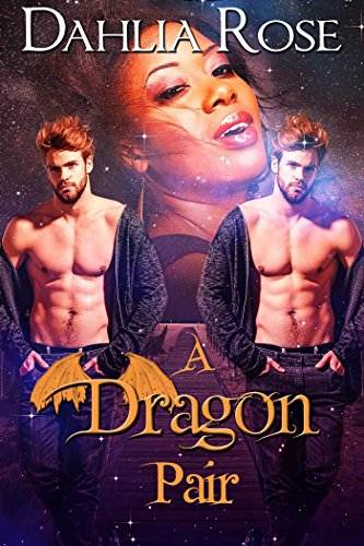 A Dragon Pair (The Paladin Dragons Book 10)