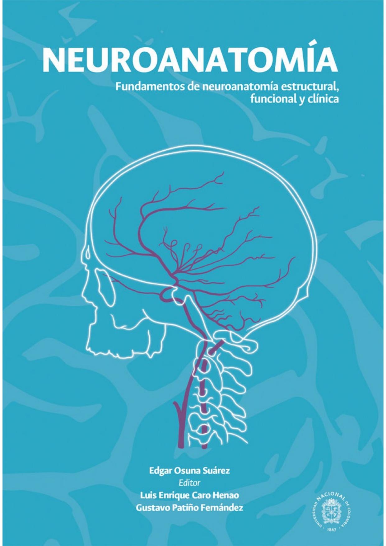 Neuroanatomía: Fundamentos de neuroanatomía estructural, funcional y clínica (Spanish Edition)