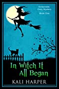 In Witch It All Began (Emberdale Cozy Mystery Book 1)
