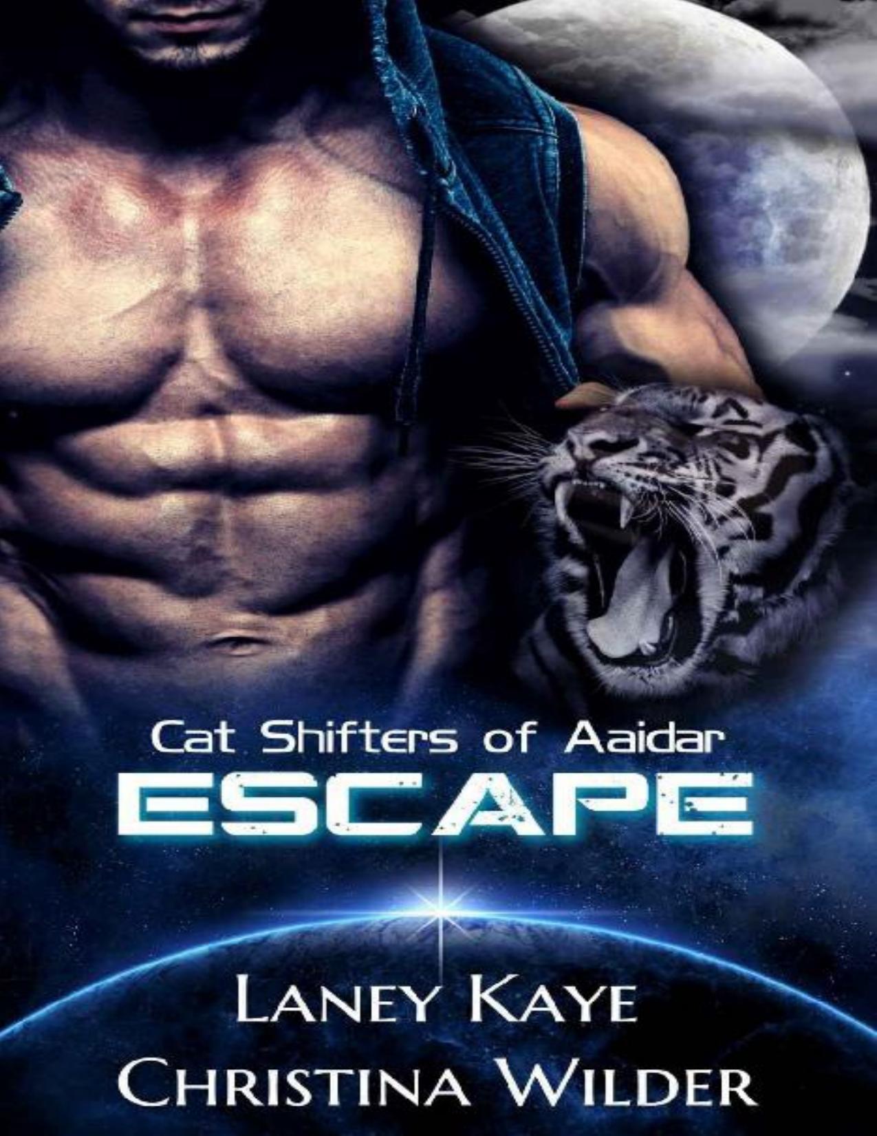 CAT SHIFTERS OF AAIDAR: ESCAPE