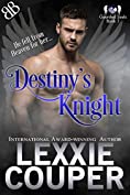 Destiny's Knight (Guarded Souls Book 1)