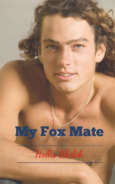 My Fox Mate (shifters and partners Book 22)