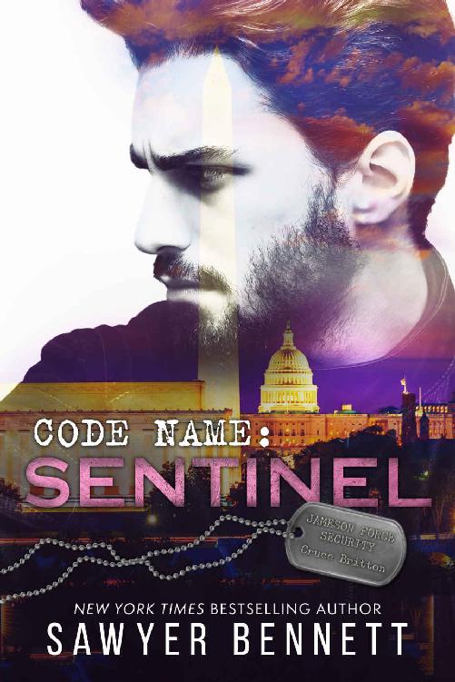 Code Name: Sentinel (Jameson Force Security Book 2)