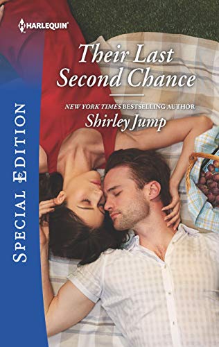 Their Last Second Chance (The Stone Gap Inn Book 2)