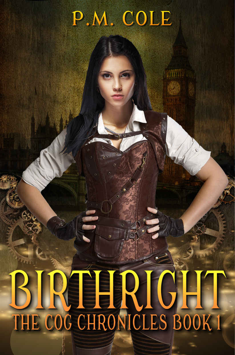 Birthright (The Cog Chronicles Book 1)