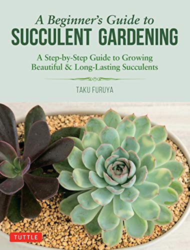 A Beginner's Guide to Succulent Gardening: A Step-by-Step Guide to Growing Beautiful &amp; Long-Lasting Succulents