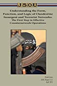 Understanding the Form, Function, and Logic of Clandestine Insurgent and Terrorist Networks: The First Step in Effective Counternetwork Operations