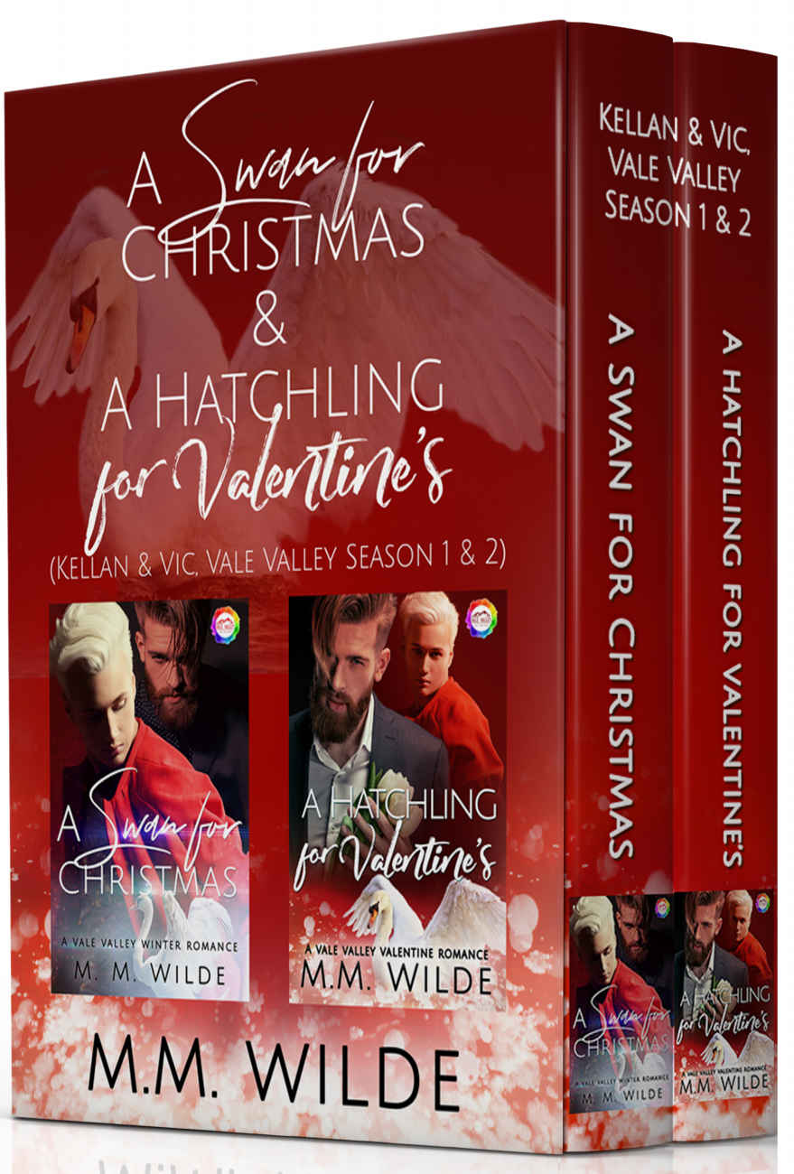 Swan & Hatchling, A Vale Valley Bundle: Kellan & Vic, Vale Valley Season 1 & 2