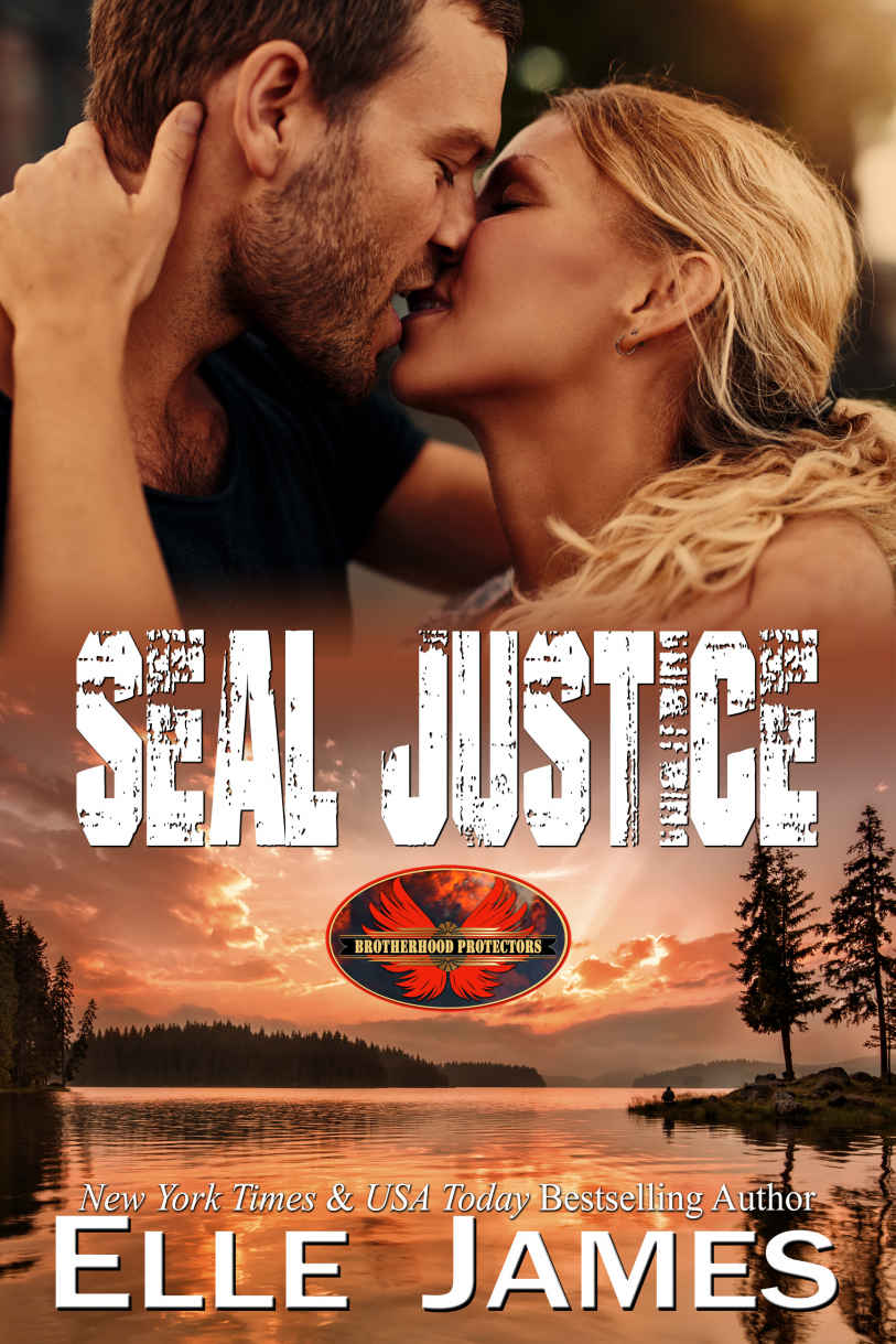 SEAL JUSTICE (Brotherhood Protectors Book 13)