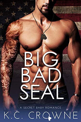 Big Bad SEAL: Mountain Man's Secret Baby Romance (Big Bad Daddies)