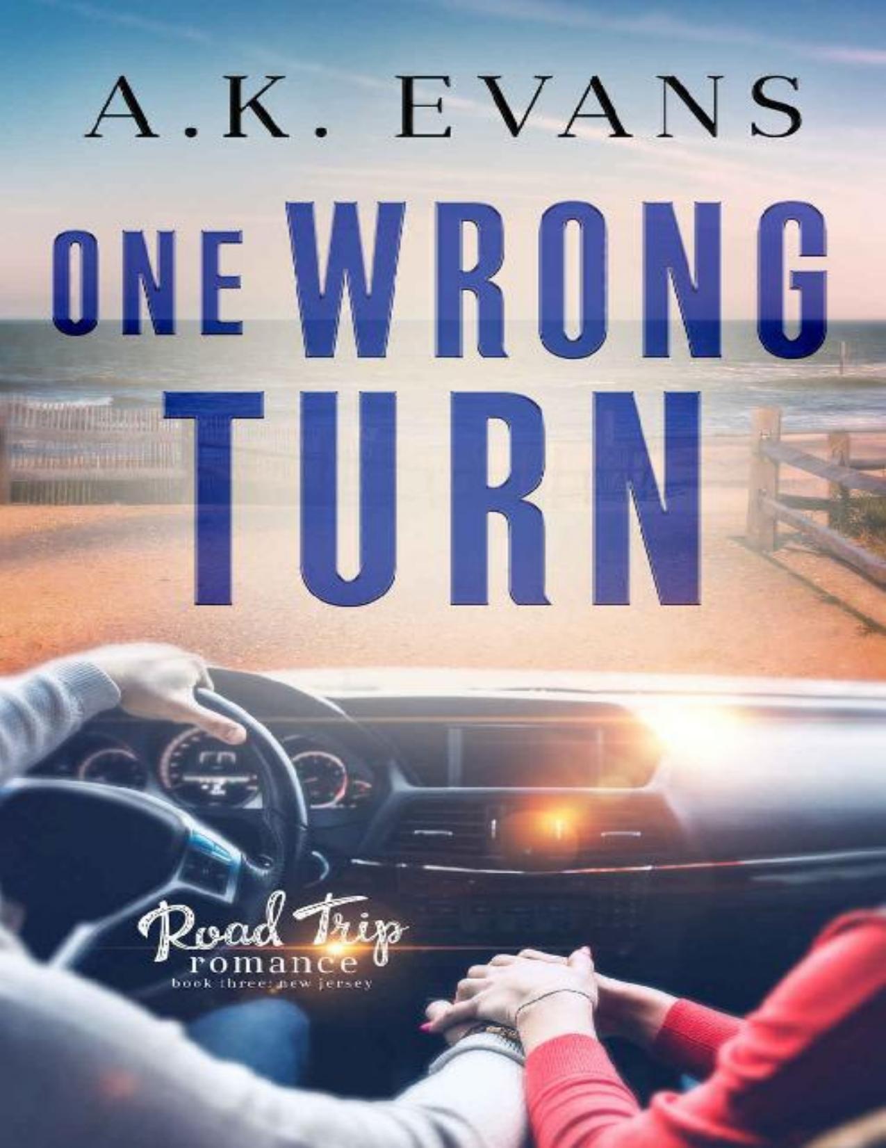 One Wrong Turn (Road Trip Romance Book 3)