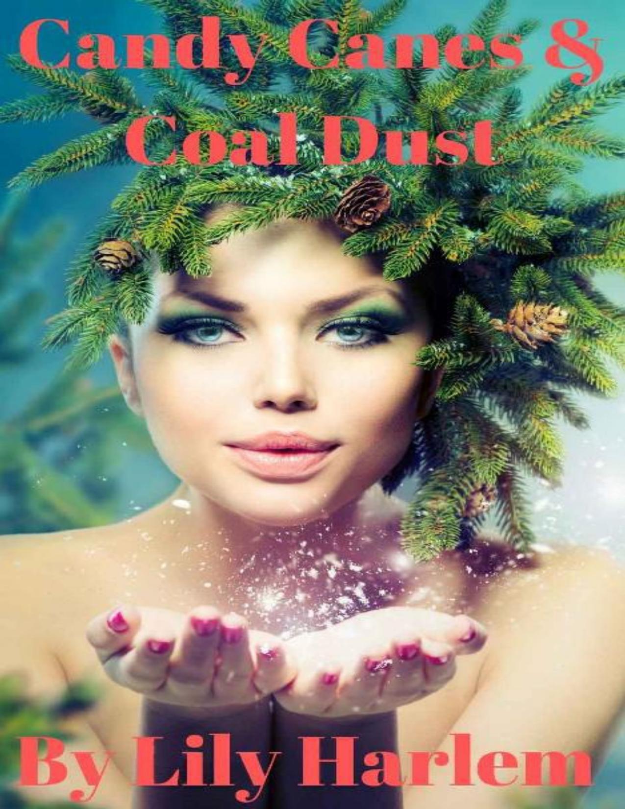 Candy Canes and Coal Dust: Christmas Holiday Romance