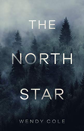 The North Star: A New Adult Romance